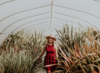 Cuatro libros para celebrar la soltería en el Día del Soltero