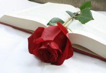 Por qué el Día del Libro se celebra el 23 de abril