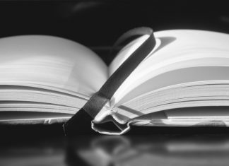 Poesía para “principiantes”