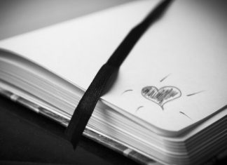 Porque ya tocaba, poesía para principiantes